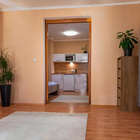 Apartmany V Mlynske Strouze Plzen Exterior photo