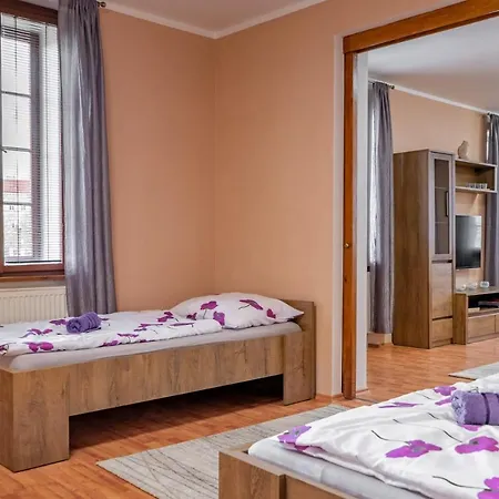 Apartmany V Mlynske Strouze Plzen Exterior photo