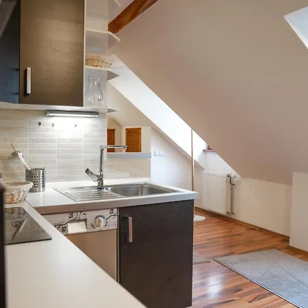 Apartmany V Mlynske Strouze Plzen Exterior photo