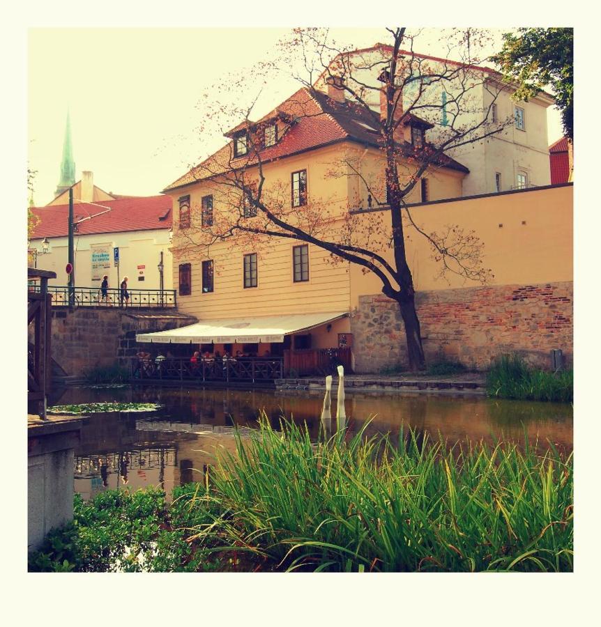 V Mlynske Strouze Apartment Plzen