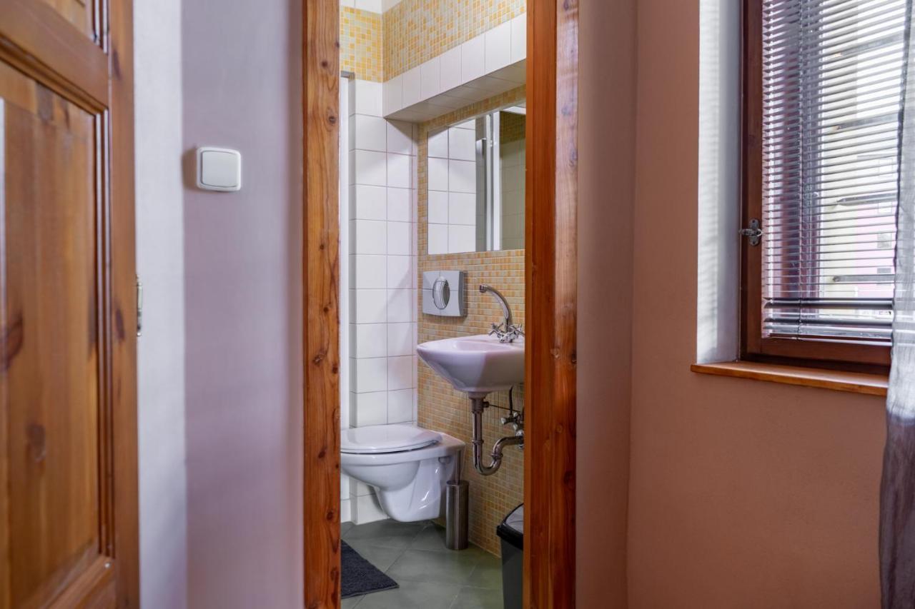 V Mlynske Strouze Apartment Plzen