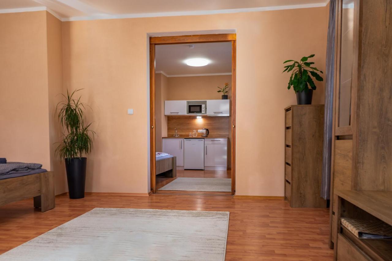 Apartment V Mlynske Strouze